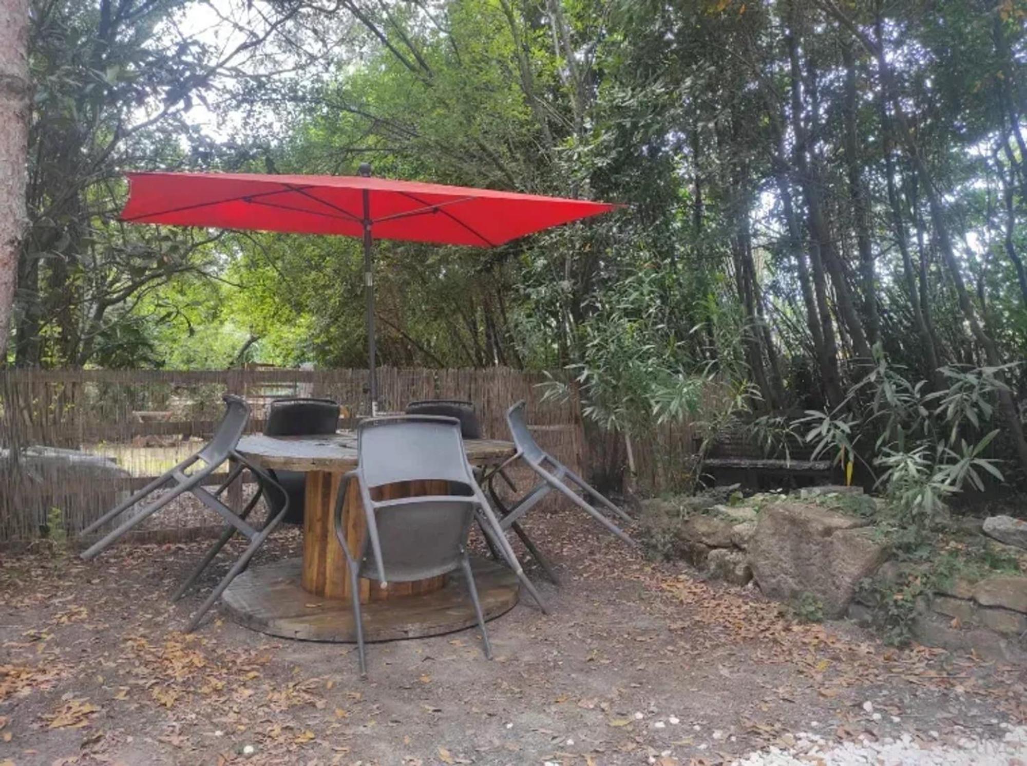 Studio Charmant Dans Un Ancien Moulin Pres D'Orange 30 M² Piscine Eksteriør bilde